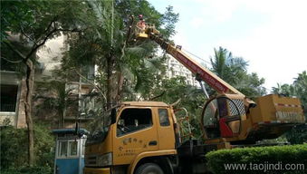 坂田路燈車出租 路燈車出租 宏祥 查看