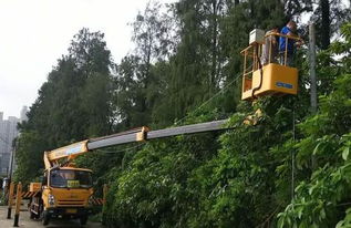 龍巖機械設(shè)備租賃價格