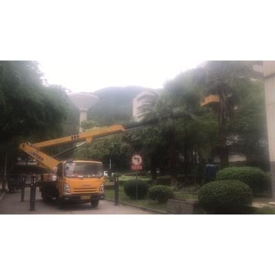 臺山地區(qū)升降機(jī)與自行走高空車出租行情價格分析